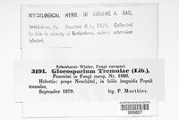 Gloeosporium tremulae image